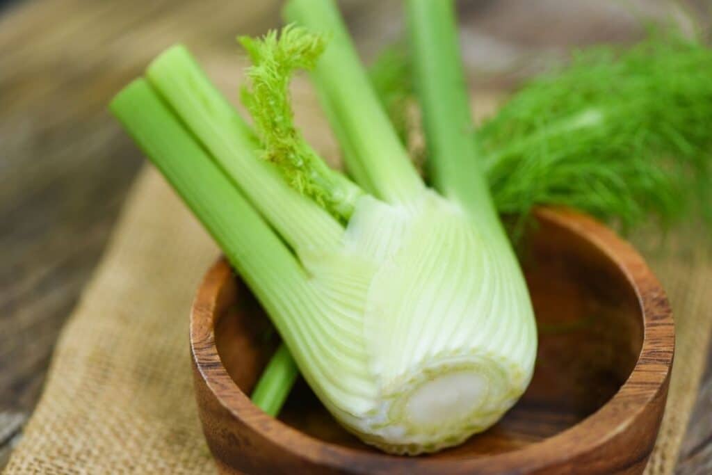 fennel substitute