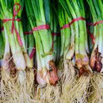 Can You Freeze Green Onions?