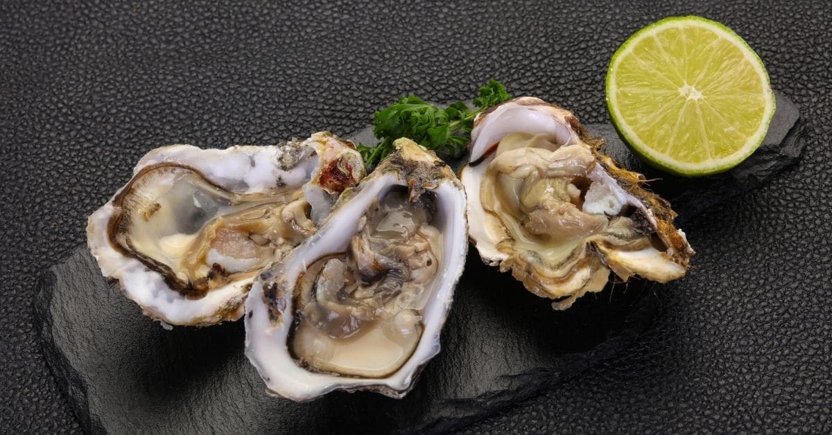Can You Freeze Oysters? How to Preserve This Seafood Kitchenous