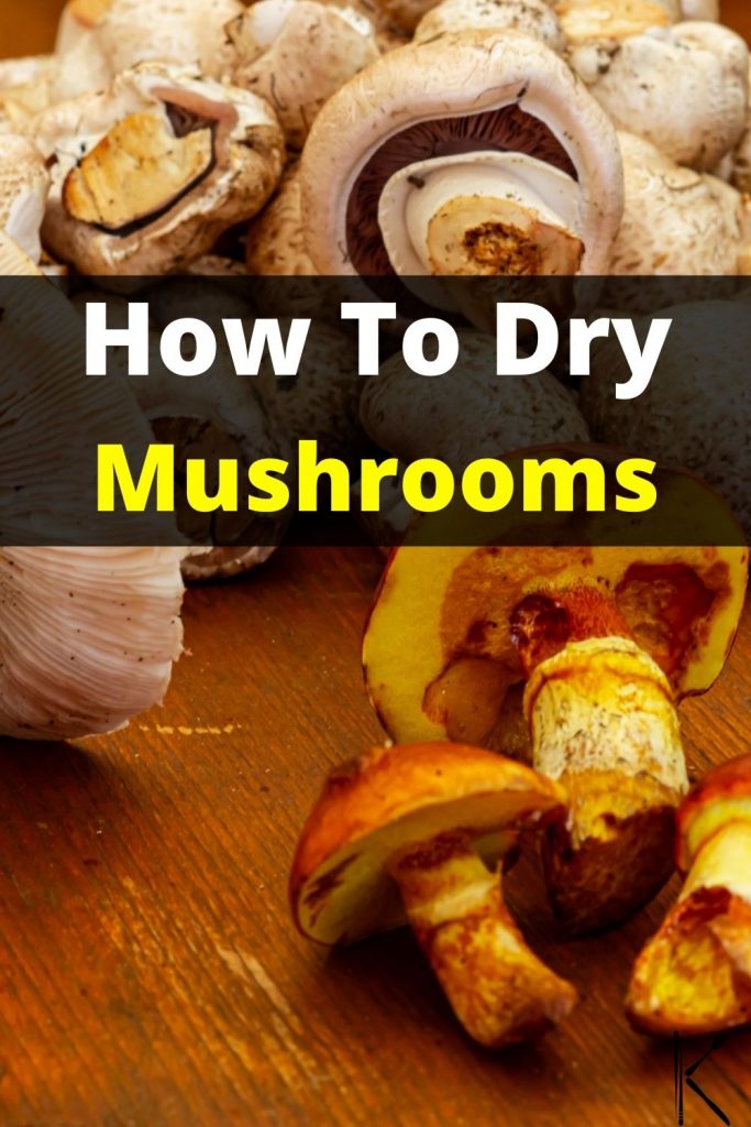 dehydrated mushrooms
