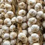 How to Dry Fresh Garlic