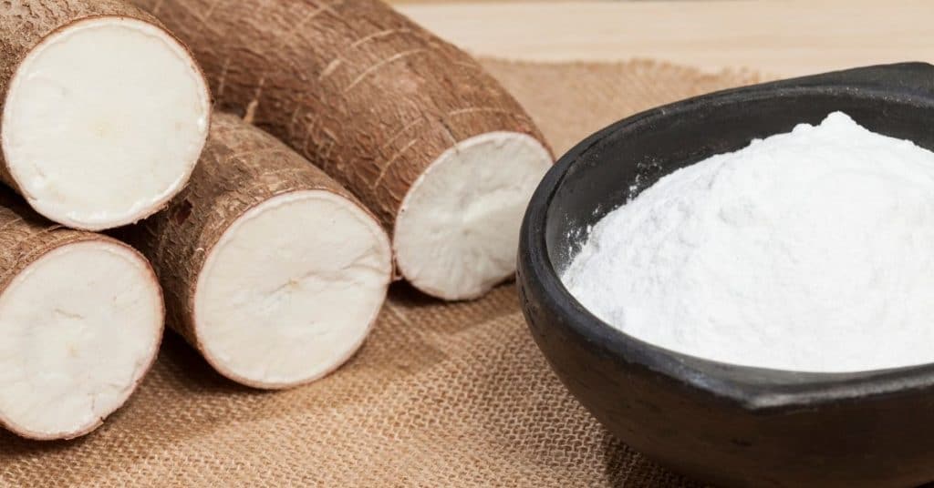 tapioca flour substitute