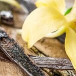 What Are Vanilla Beans?