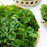 What Can I Substitute for Watercress?
